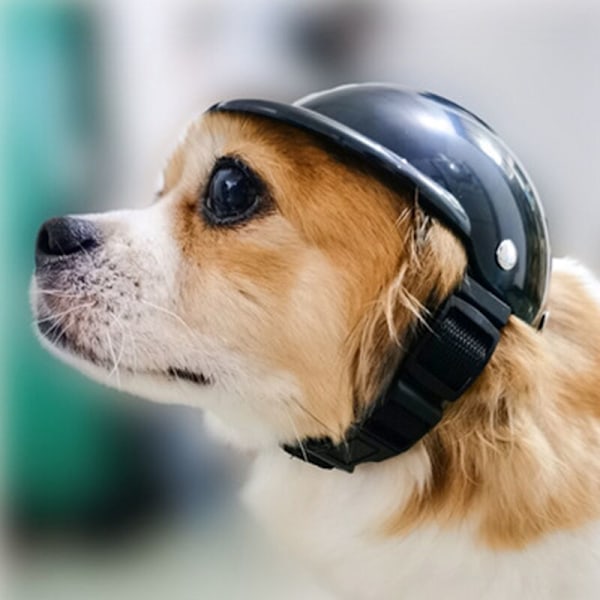 Hjelmhat til Hunde - Motorcykelhjelm til Hunde, Regn- og Solbeskyttelse, Hjelm til Hunde, Fødselsdagskostume til Hunde