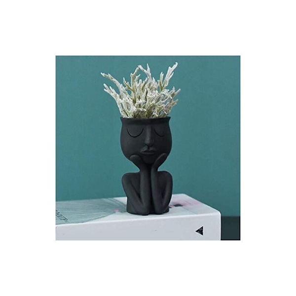 Kreativ nordisk karaktärsvas, suckulenta växter, abstrakt blomkruka, ansikte och blommor, inomhus, svart vas--