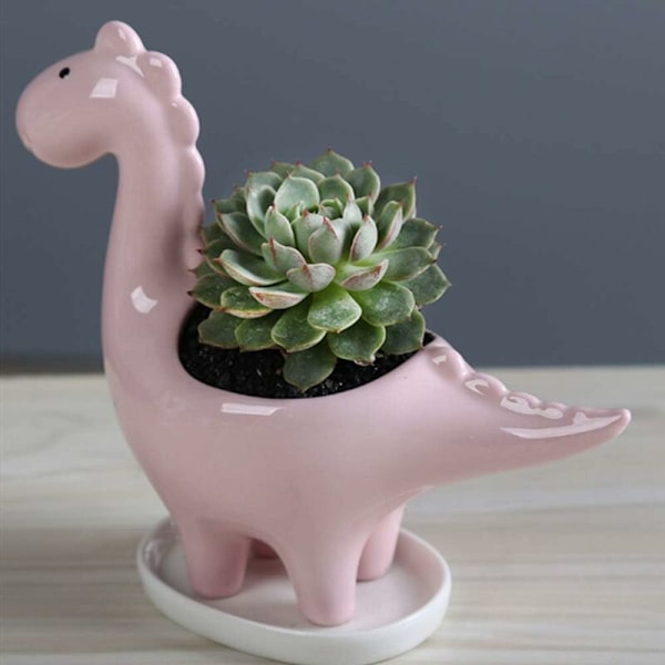 Sukkulent Potter med Drænhul 7 tommer Hvid Glaseret Keramik Dinosaur Pot til Indendørs Sukkulenter Planter Kaktus Dekoration, PINK