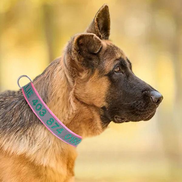 Personliga Reflekterande Hundhalsband, Graverade med Namn och Telefonnummer, Justerbar Hund Rosa+rosa
