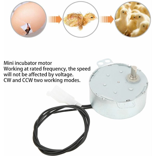 Automatisk Inkubator Motor CW/CCW Dobbelt Tilstand Lav Hastighed Æg Vend Mini Inkubator Udstyr 220V