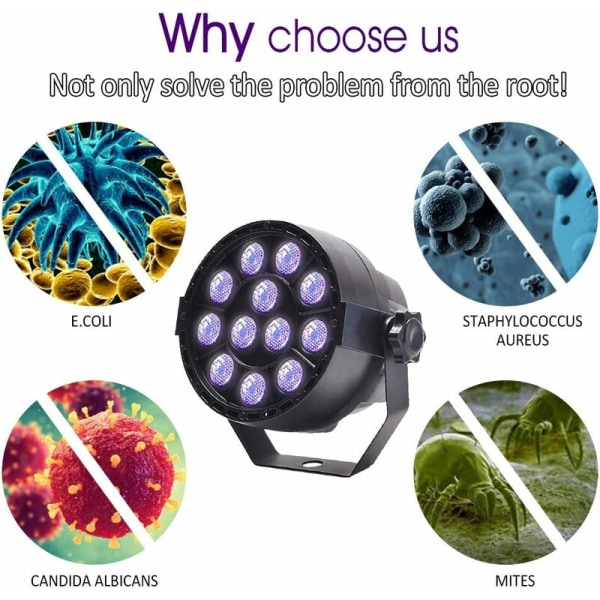 UV-lampe desinfektionsmiddel til køkken, badeværelse, stue, soveværelse, dyreområde, ultraviolet LED, bakteriedræbende desinfektionslys.