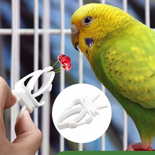Lintuklipsi hedelmille, lintupapukaijaklipsi hedelmille, linturuokaklipsi, lintuhäkin syöttölaite, lintusyöttölaite, lintuhäkin lintusyöttölaite, 5 kpl