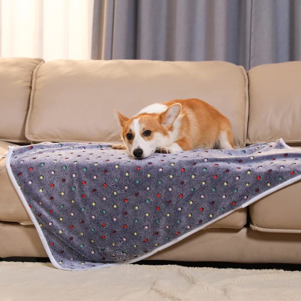 1 styks tæppe superblødt sødt prikket mønster til kæledyrstæppe flanneltæppe til hundehvalp Kat polka prikker (52*76 cm), grå