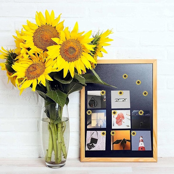 Solros Push Pins Solros Push Pins Blomma Kork Push Pins Solros Push Pins för Foton Väggkartor (40-pack)