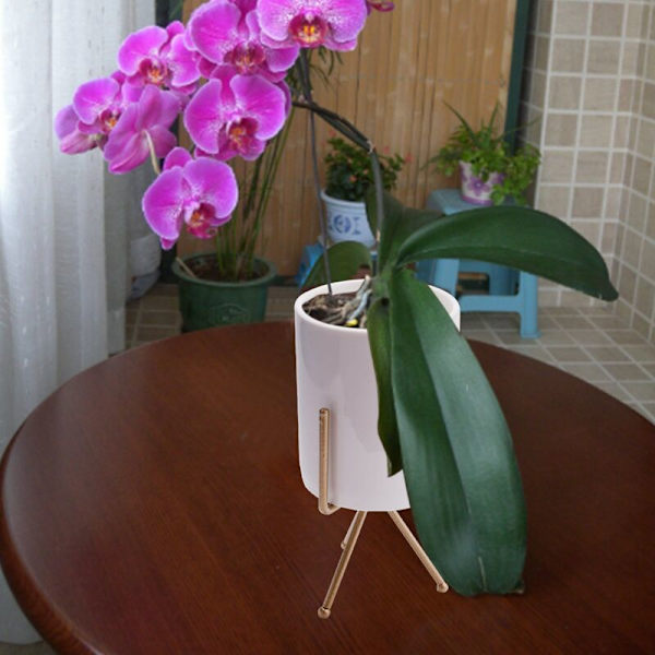Nordisk stil keramisk blomkruka planter järnram växtstativ grön växt blomkruka kontor skrivbordsdekoration prydnad guld