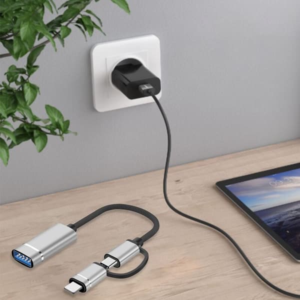 2 i 1 OTG-kabel, der passer til TYPEC-adapterkabel, universel 2 i 1 multifunktionsdatakabel, guld