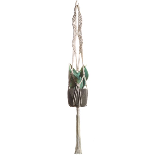 Plantestativ og brett Hagearbeid Creative Plant Greening Hanging Basket (GT055)