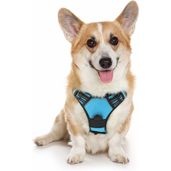 Eksplosionssikkert og vandtæt hundevest, hundeleash, justerbar reflekterende hundeseletøj, himmelblå M