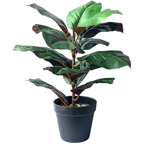 15 Tommer Høj Figenbladstræ Kunstige Planter Falsk Bonsai