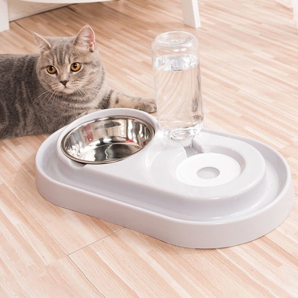 Skål Hundskål Dricksfontän Maträtt Husdjursskål Automatisk Vatten Rosa