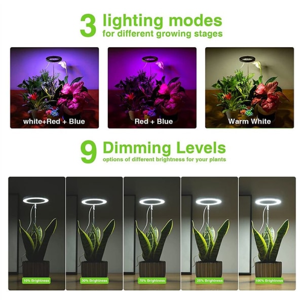 Vækselys til indendørs planter, Spectrum Halo LED-lys med automatisk højdejusterbar timer, til planter