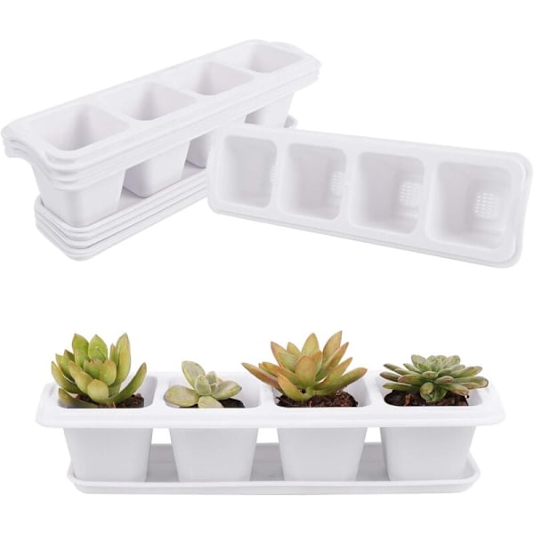 Sukkulente Plantepotter, 5 Styk Kvadratiske Sukkulente Potter Kaktusplante Blomst Pot Pot med Bakke Lille Hvid Blomst Pot til Plantning af Mini Sukkulenter Hvid