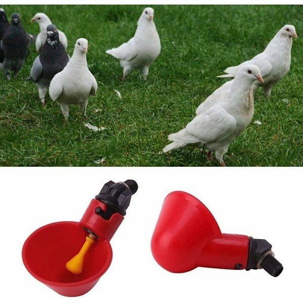 Automatisk kycklingvattnare röda dricksvattenkoppar praktisk plast kycklingvattnare för fåglar höns fjäderfä - 5PCS