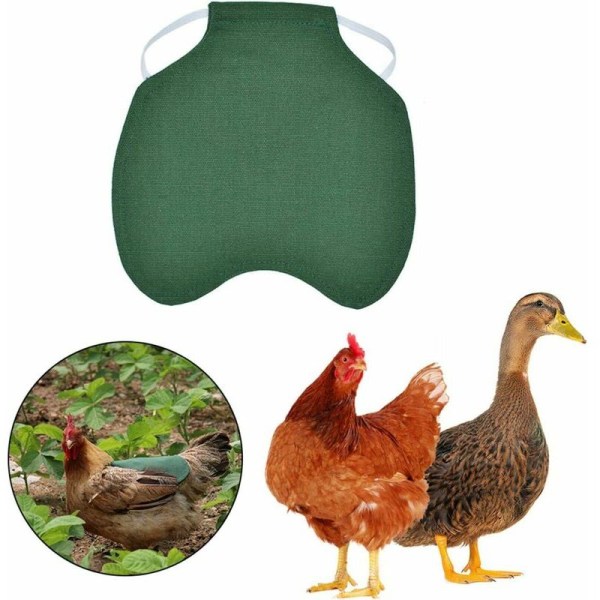 3PCS Husdjursväst, Kycklingkläder, Fjäderfä Hönsadel Förkläde, Justerbar Kycklingväst Fjäderskyddshållare Grön