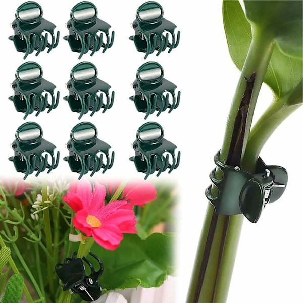 100 stycken växtklämmor, blomklämmor, orkidéklämmor, växtklämmor, för inomhus- och utomhusväxtstöd