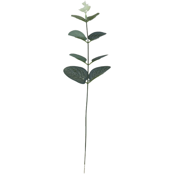 Kunstige Grønne Eucalyptus Blade Sølv Dollar Grønne Eucalyptus Blade Kunstige Sølv Eucalyptus Simulation Grønne Eucalyptus Blade til Fest G