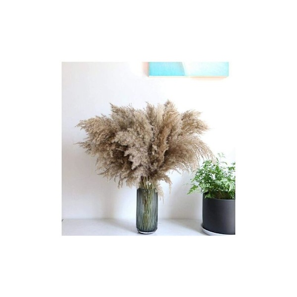 20 kpl 50-60 cm Pampas-ruohoa luonnollisesti kuivattu hääkimppu muodikkaita keinotekoisia kukkia kodin sisustukseen maljakoihin