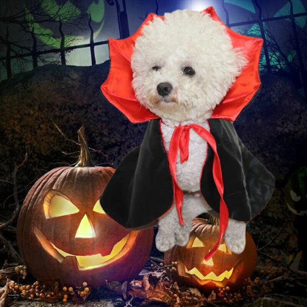 Koiraviitta-asu - Lemmikin Halloween-asu Kissan vampyyriviitta, Koiran noitapuku pienille ja keskisuurille koirille ja kissoille