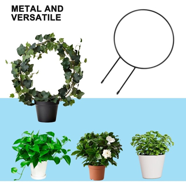 Svart metall plantetrellis for klatreplanter Ring jern og linjestøtte stang Rattan-A