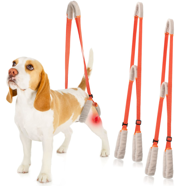 Sett med 2 hunder bakbenstøttesele - hjelpehåndtak - for å hjelpe hunder med dårlig stabilitet, leddgikt, leddskade (oransje)