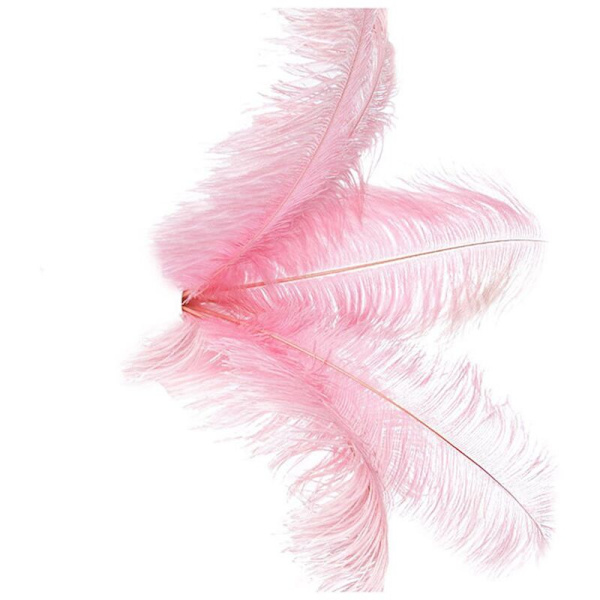 20 stk Naturlige Strudsefjer Rose Dekoration 20-25cm
