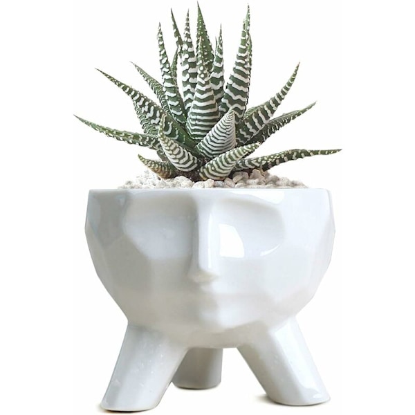 Hvid Keramik Blomsterpotte Sukkulenter Plantepotter Kreativ Moderne Stil Sukkulenter Potter Kunstnerisk Ansigtsform Keramik Kaktus Bonsai Plantepotte