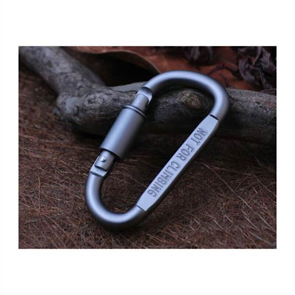Mini Micro 2 Karabiner med skruvlock, 2-pack