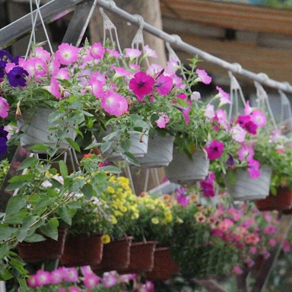 10-pack hängande planterkorg inomhus/utomhus hängande blomkrukor växthållare hängare krokar för heminredning röd