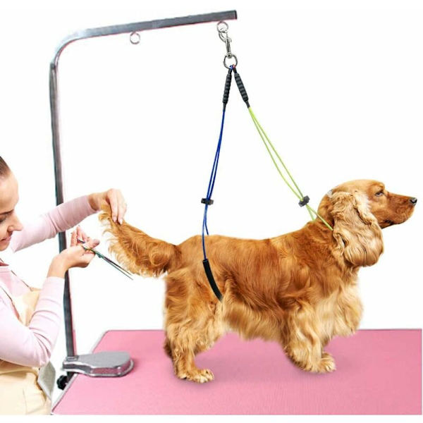 Generisk Hundefrisørbord Tau Hundefrisør Line Hals og Hoft Holder Hundefrisør Spenne - Gul+Blå-Fei Yu
