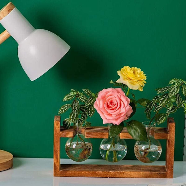 Lisääntymisasema Lasinen Istutusastia Maljakko Terrarium Pöytäkasvit Työpöytä Pyöreä Lasimaljakko Puussa, 20 Cm