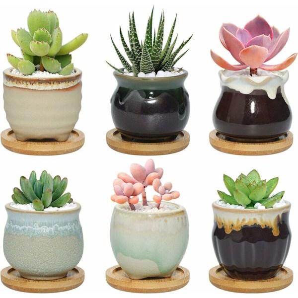 6CM Mini Sukkulentpotte med Bambusbrett Sett med 6, Kaktusplante Keramisk Planter Lille Blomsterpotte Plantebeholder Hjemmekontor Dekorasjon Bursdagsgave