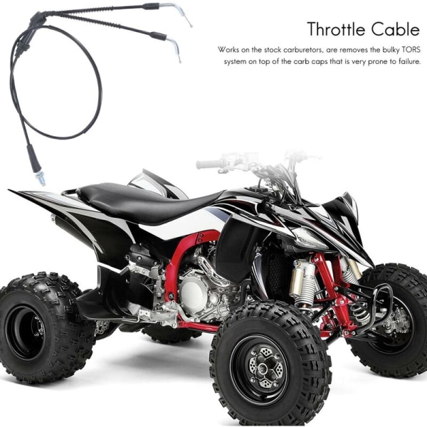 Tors Delete Removal Kit for Banshee Gasspjeldkabelhetter Tomgangsskruer