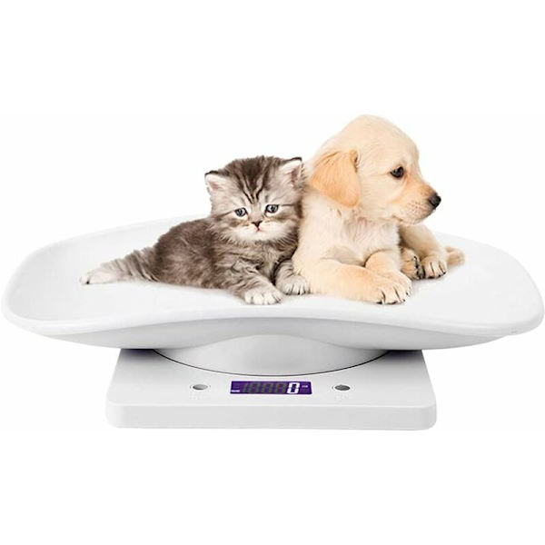 Elektronisk Djurvåg, Liten Digital Vågskala, 10kg/1g LCD-Display Vågskala Precisionsmätning Vägningsverktyg för Kök Kattungar Valpar Sköldpadda Hamster