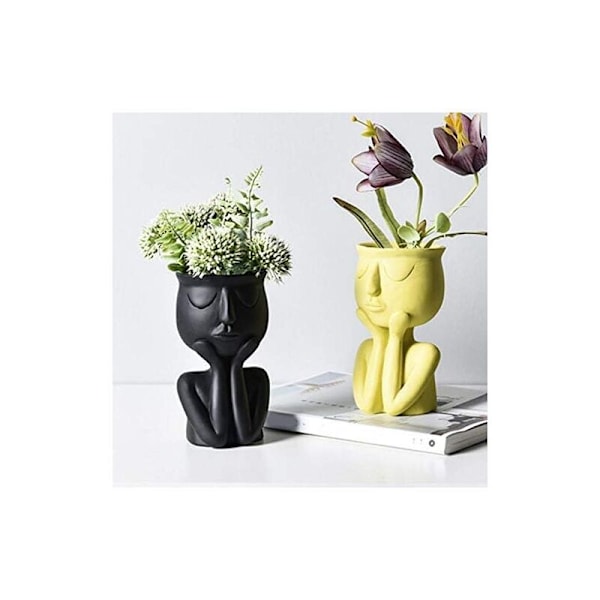 Kreativ nordisk karaktärsvas, suckulenta växter, abstrakt blomkruka, ansikte och blommor, inomhus, svart vas--