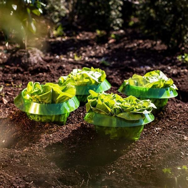 Växtskyddsring I Anti-snigeltrattar (5 st) I Salladsstaket I Anti-snigelskydd I Salladsklocka I Plastkrage I Skyddsring