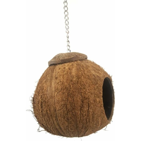 Fågelbur av kokosnötskal, fågelhus säng för husdjur papegoja parakit parakit elegant nymfkakadua conure kanariefink bur hamster råtta gerbil mus bur matare leksak