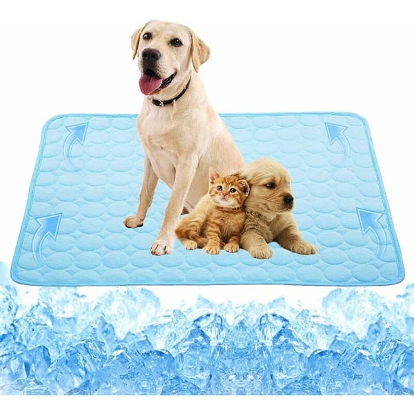 Ice silk cold pad pet mat summer sofa cushion cat and dog (XS, 40 x 30 cm)-