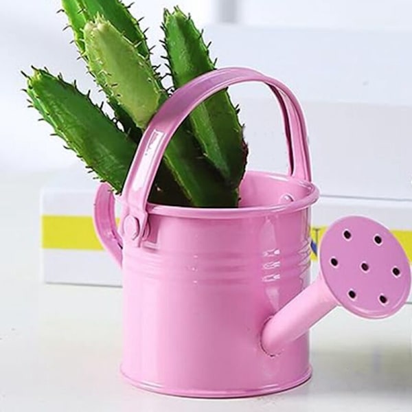 Metal Vandkande, Børnevandkande, Børns Jernvandkande til Have Hjemmeplanter Blomst