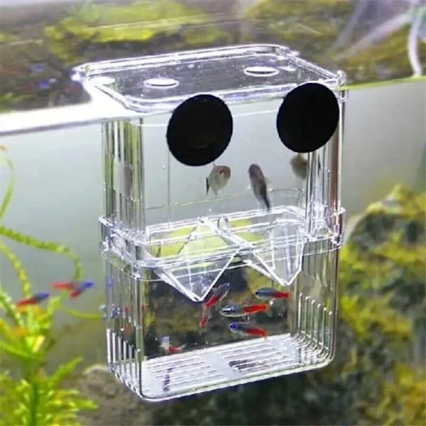 Akvarium Fiskeoppdrettsboks Slitesterk Betta Fiskebeholder Fiskeoppdretts Isolasjonsboks Klekking Inkubator
