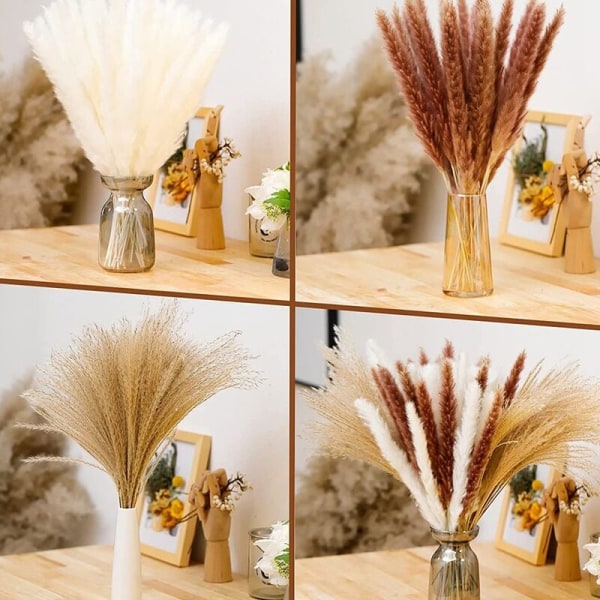 65 Stykker Tørket Pampasgress, Pampas for Bohemske Arrangementer, Bryllupsdekorasjon, Blomsteroppsatser Gaver til Kvinner
