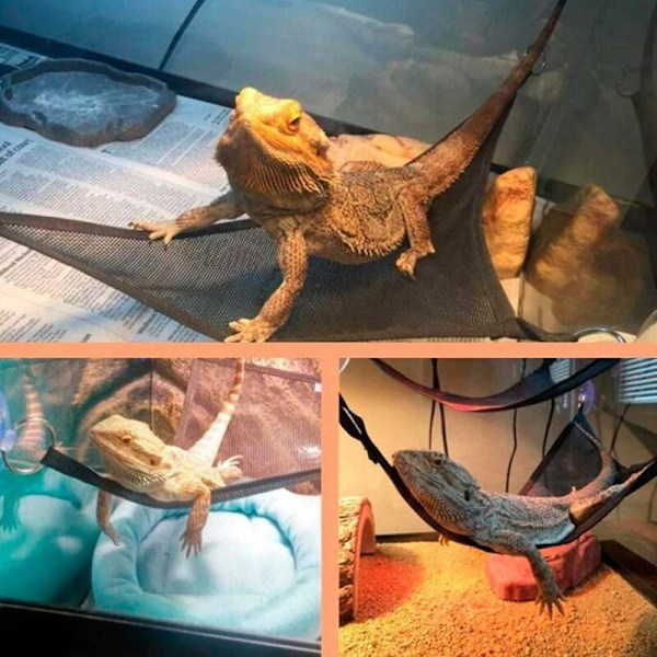 Liskojen ja käärmeiden verkkohammockit - Käärmeen ja liskon hammocki - Liskon lepopaikka - Kulman hammocki imukupilla - Kannettava, hengittävä verkko