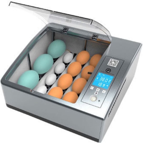 Äggkläckningsmaskin Automatisk kläckningsmaskin 16 ägg, Digital med intelligent automatisk vändning Mini kläckningsapparat Justerbar temperatur för fjäderfä, vaktel,