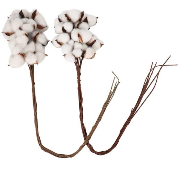 20 stk 60 cm tørkede bomullsstengler Landlig Kunstig Blomst Blomsteroppsats Fyllfest Familie Dekorasjon