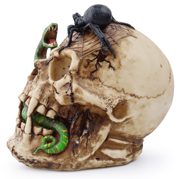 Orm djurskalle modell hartsskalle hantverk ornament Halloween dekoration skräcktillbehör filmrekvisita