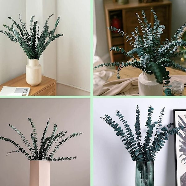 10 Pakke Naturlige Tørrede Eucalyptus Bundter, Konserverede Friske Eucalyptus Grene til Blomsterarrangementer, Bryllupsdekoration