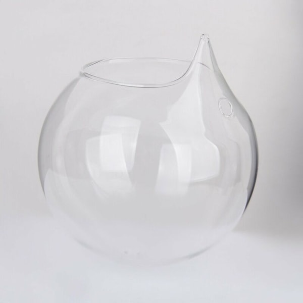 Sfärisk blomvas i transparent glas, dekoration av och växter