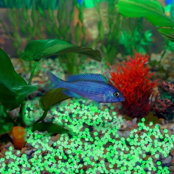 300 stk Lysende Steiner Hage, Stein Lysende Hage, Dekorative Lysende Steiner Fluorescerende Dekor, for Utendørs Hage Akvarium (14x11mm, grønn)