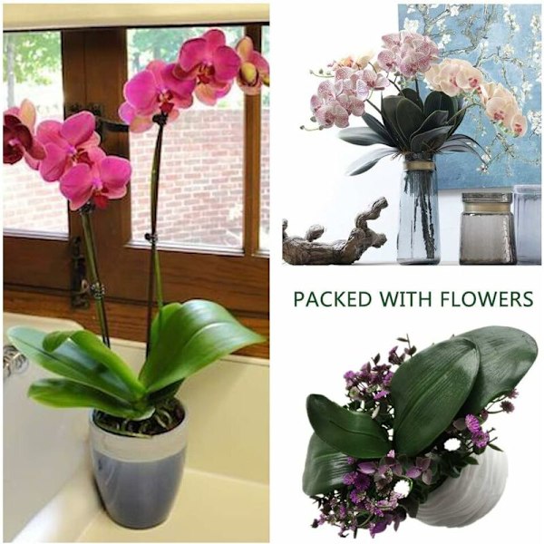 Phalaenopsis-orkidean lehdet, todellinen lateksipintainen kasvien järjestely, 3 kpl - DENUOTOP