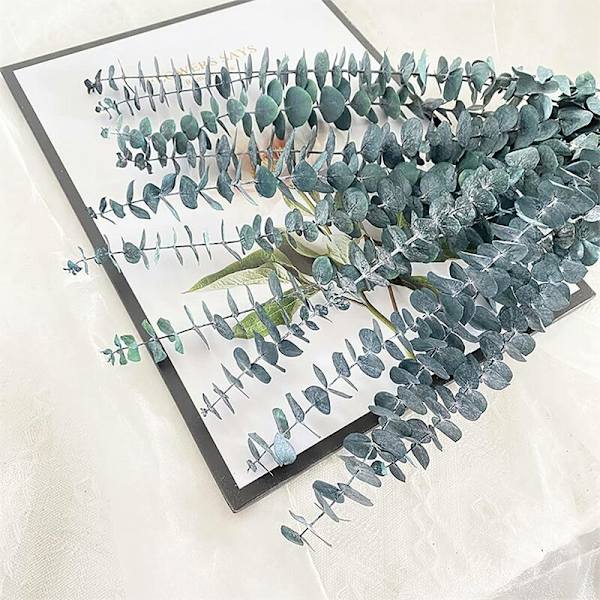 10 Pakke Naturlige Tørrede Eucalyptus Bundter, Konserverede Friske Eucalyptus Grene til Blomsterarrangementer, Bryllupsdekoration
